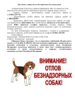 Администрация Сургутского района информирует как подать заявку на отлов животных без владельцев на территории Сургутского района. Администрация Сургутского района информирует как подать заявку на отлов животных без владельцев на территории Сургутского района.